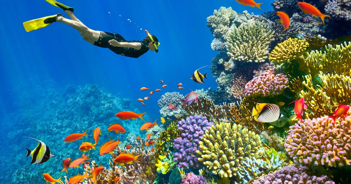 package holidays egypt sharm el sheikh