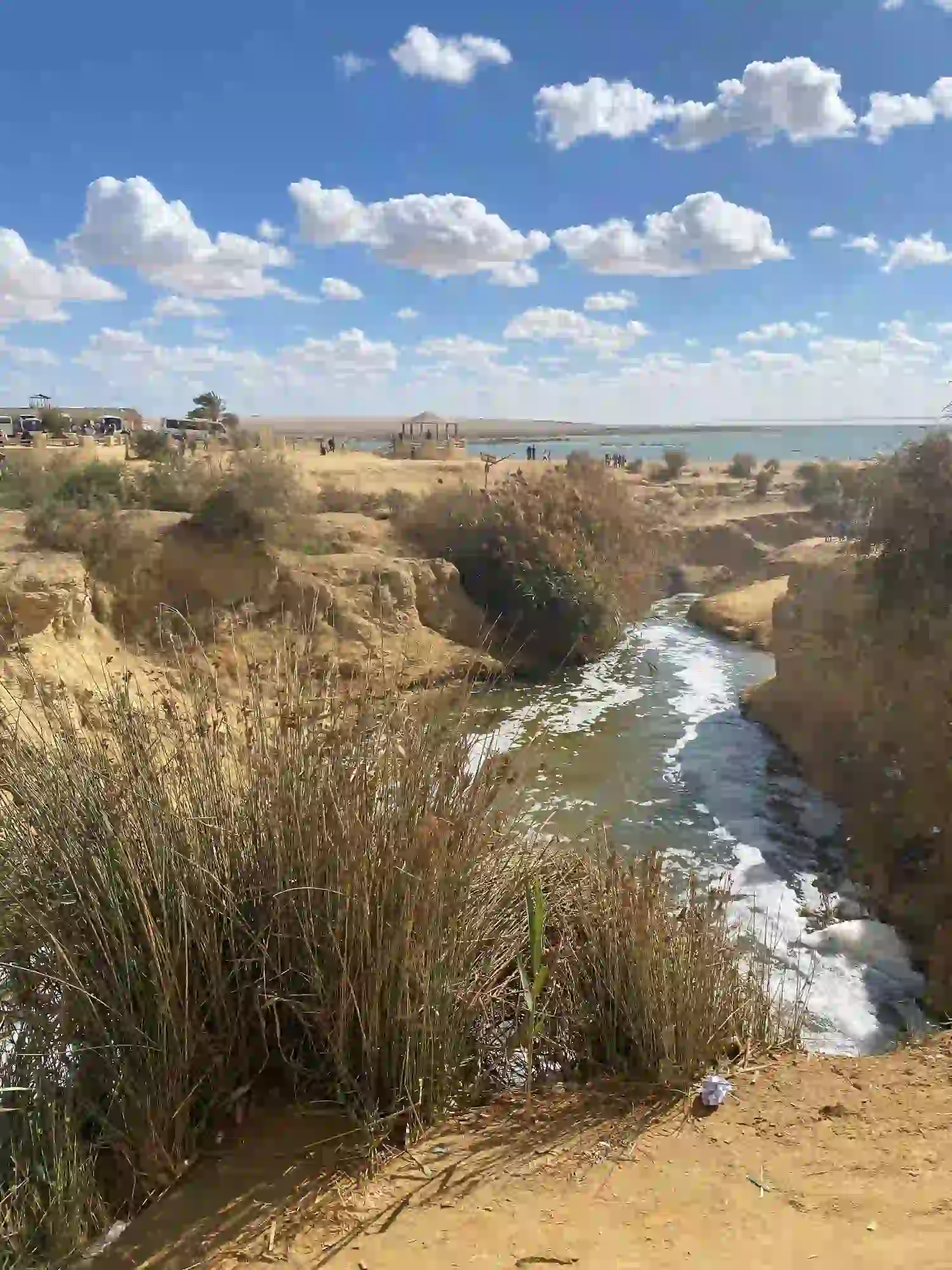 fayoum2