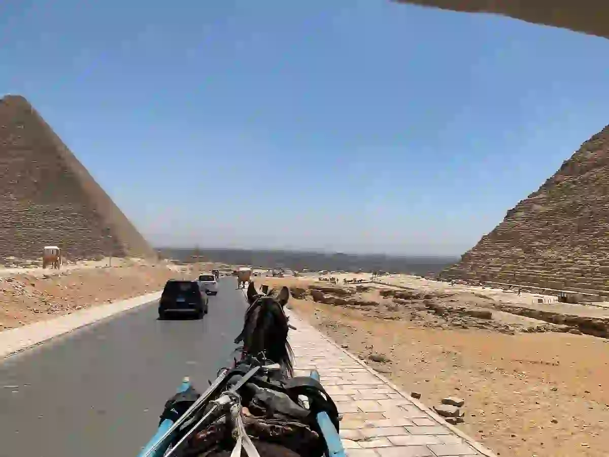 best-highlight-of-my-trip-to-cairo.