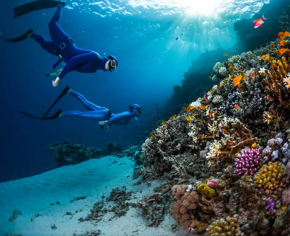 Snorkeling-in-Egypt