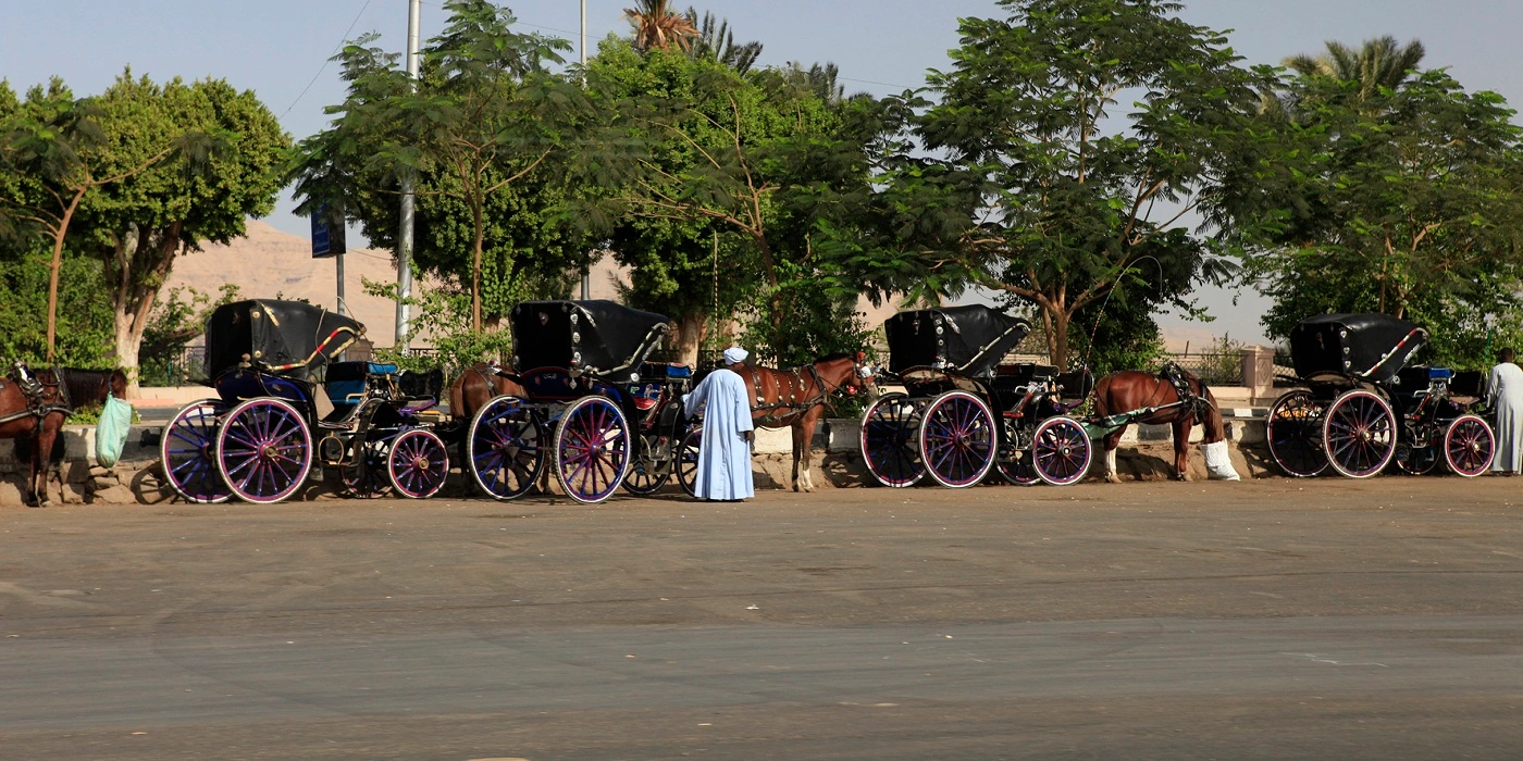 luxor city tour by horse carriage }}