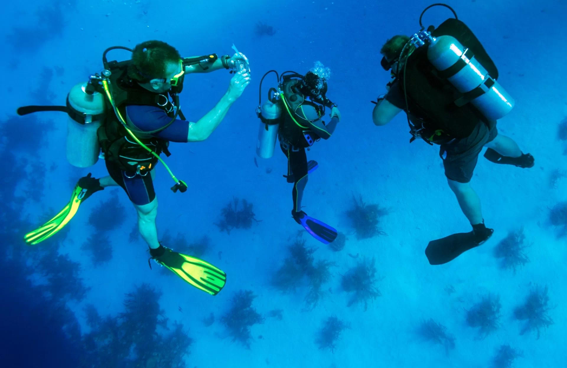 Secret Snorkeling Spots! }}