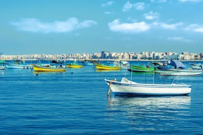 Alexandria-Tours