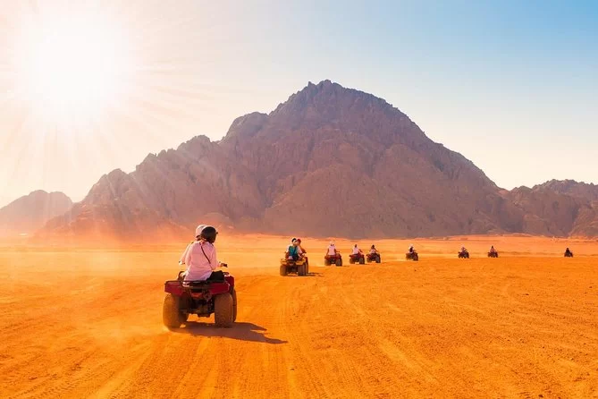 Explore Hurghada’s Wild Side! }}