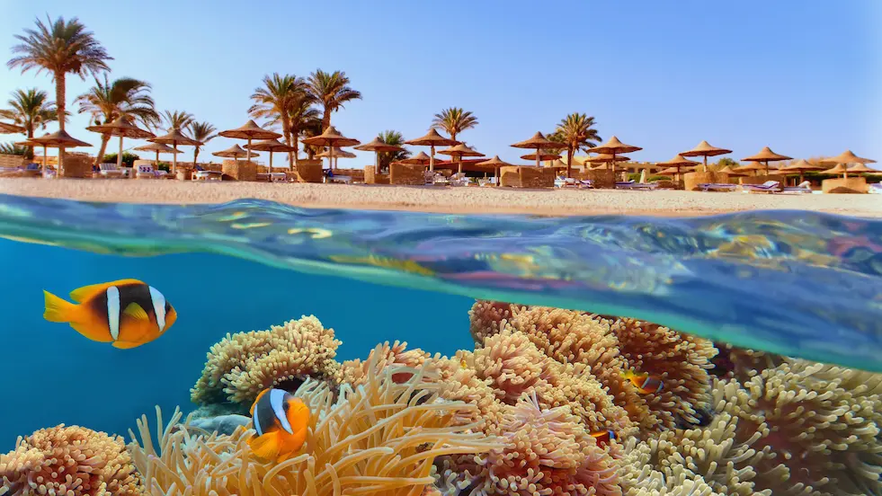 best-time-to-visit-egypt-in-summer